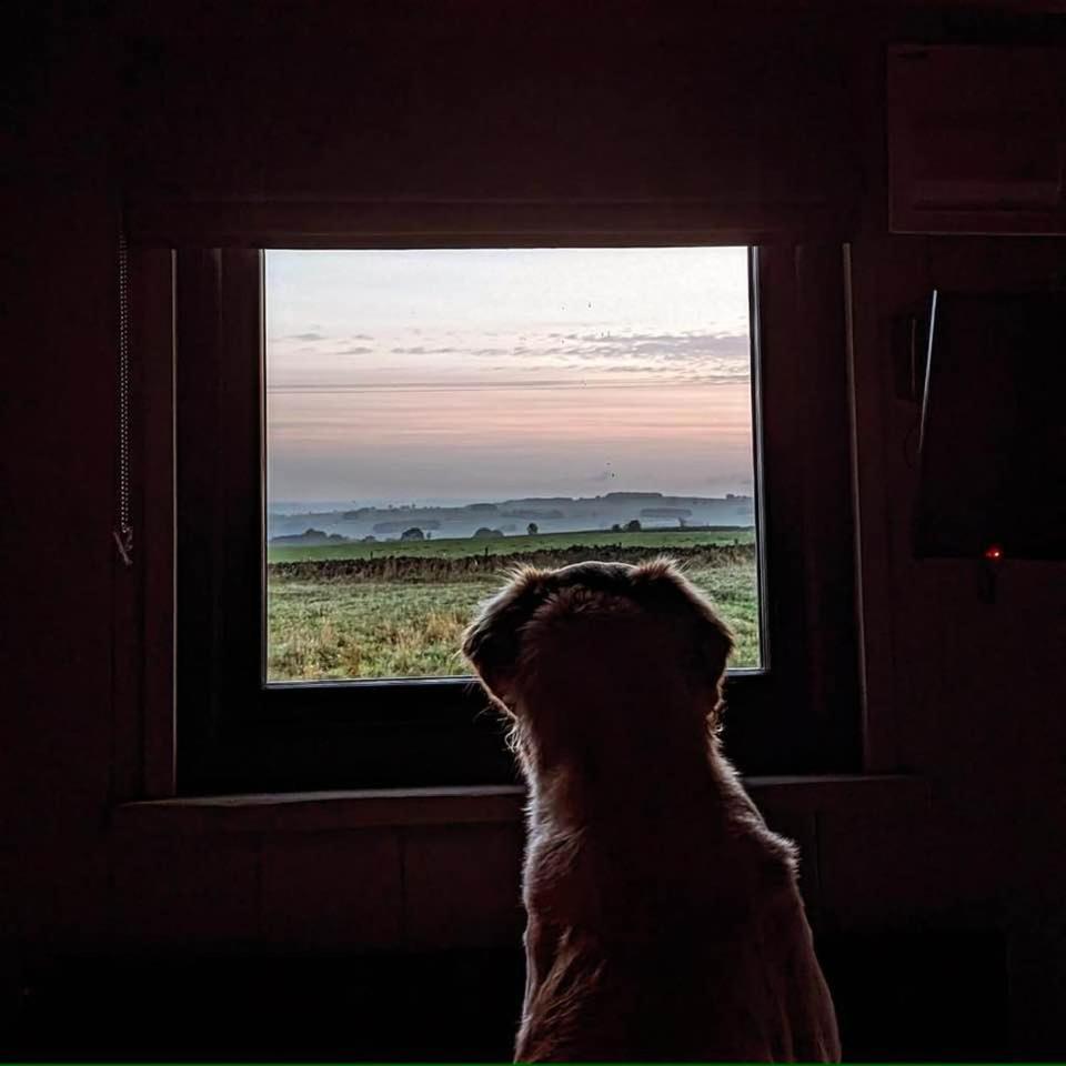 Luxury Shepherd Hut In The Peak District Бэйквэлл Экстерьер фото